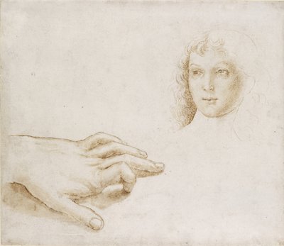 Studien eines Kopfes und einer Hand, WA1846.8 von Pietro Perugino